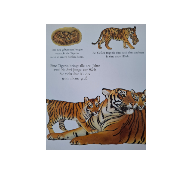 Meyers Der Tiger (Secondhand)