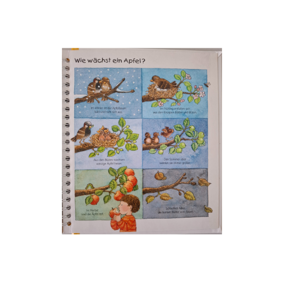 Ravensburger Die Jahreszeiten (Secondhand)