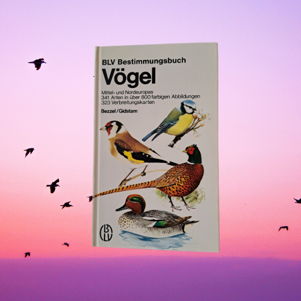 Bestimmungsbuch Vögel Mittel- und Nordeuropas