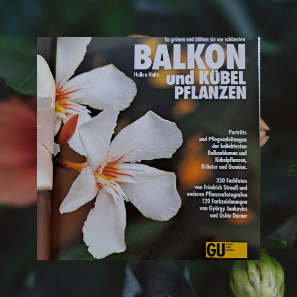Balkon und Kübelpflanzen