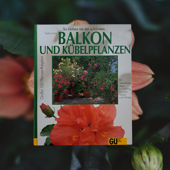 Balkon und Kübelpflanzen