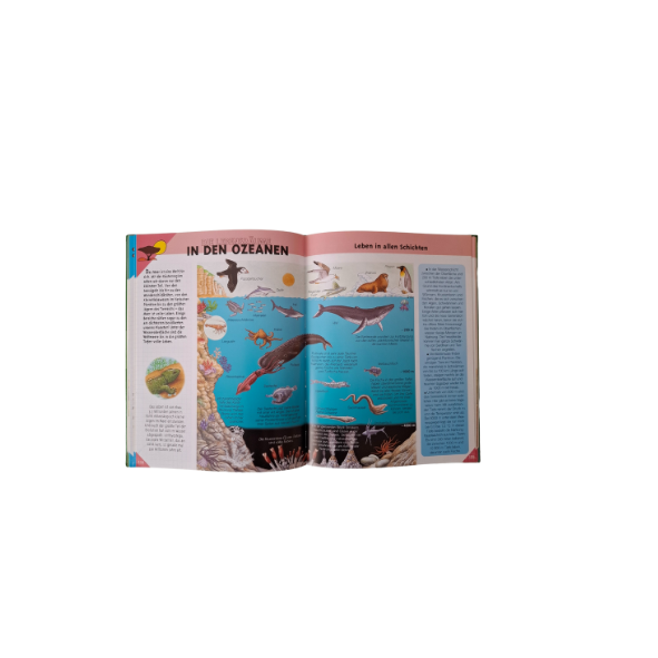 Tandem Verlag Bilderlexikon Natur und Umwelt