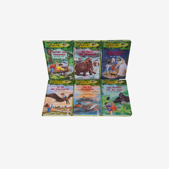 Das magische Baumhaus 6 Bücher