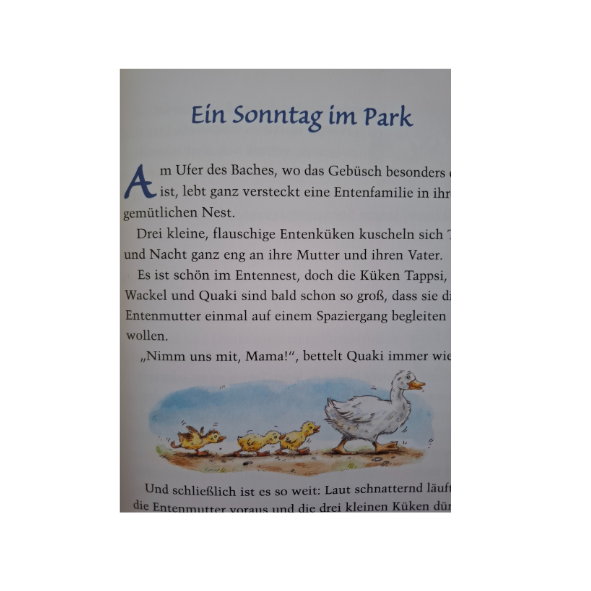 Die Wunschfee 56 Geschichten zum Vorlesen und Träumen