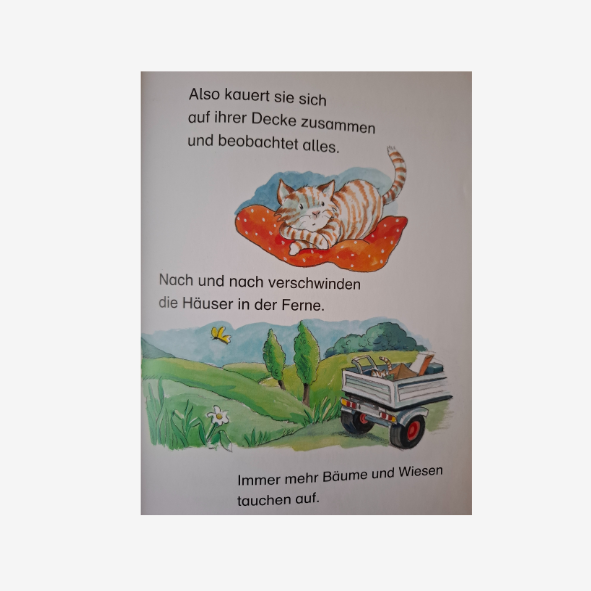 Kleine Katze, große Abenteuer