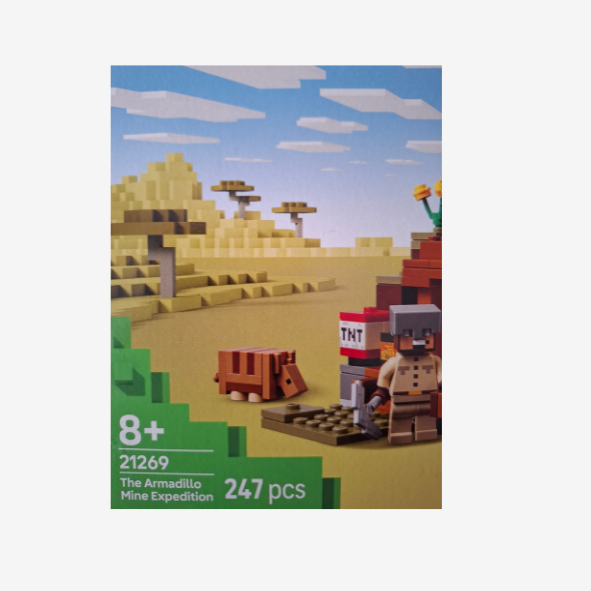 Lego Minecraft 21269