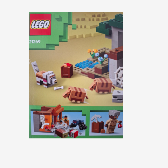 Lego Minecraft 21269