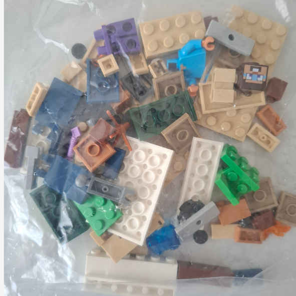 Lego Minecraft 21251- Steves Wüstenexpedition