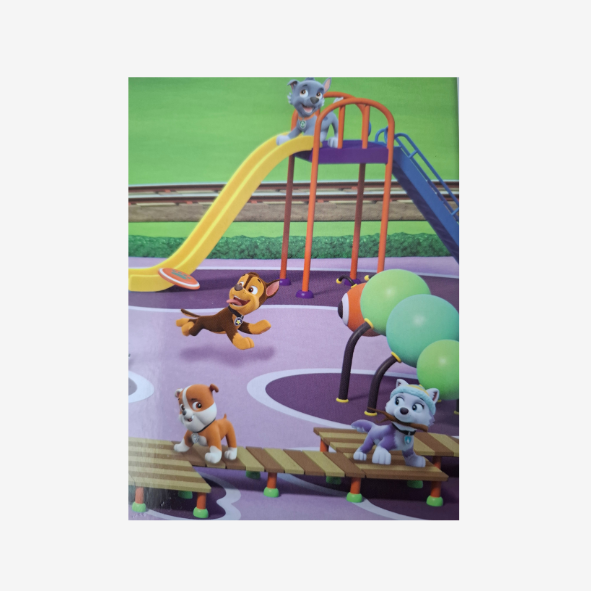 Paw Patrol Bilder und Spielebuch