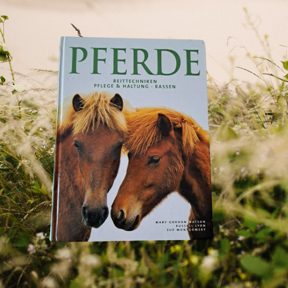 Pferde Reittechniken Pflege Haltung Rassen
