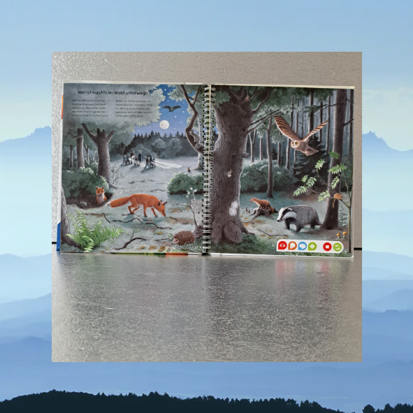 Komm in den Wald von Ravensburger