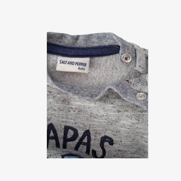 Salt and Pepper langarm Sweatshirt grau mit Monster, Größe 80