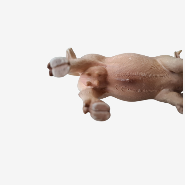 Schleich Charolais Kuh 13610