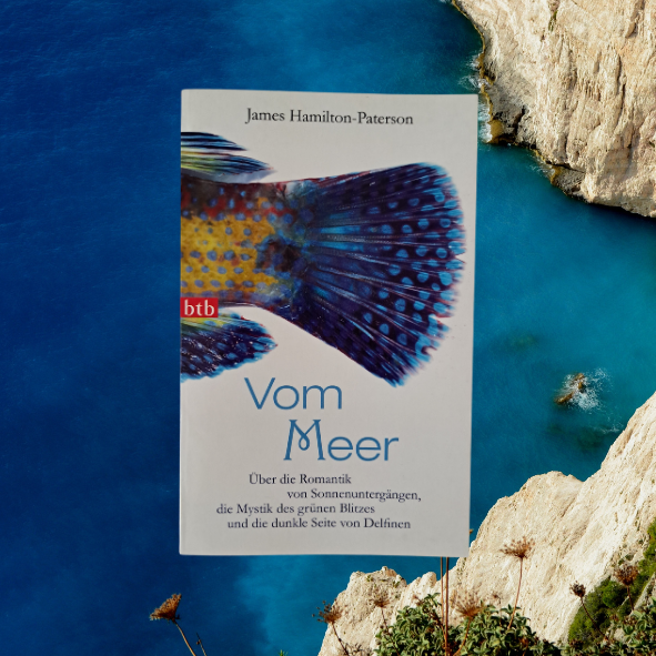 Vom Meer (gebraucht)