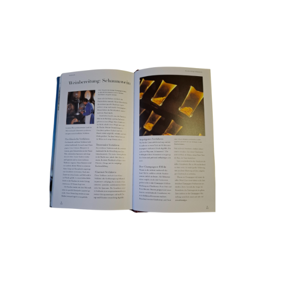 Wein Entdecken und Geniessen