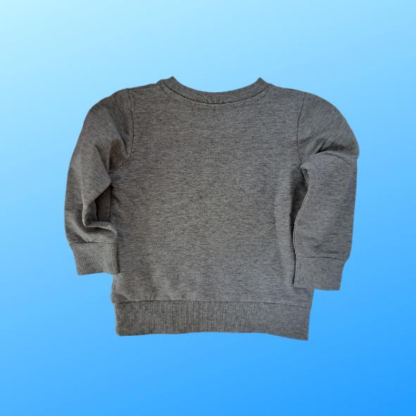 name it Sweatshirt grau mit Hundemotiv Größe 92