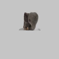 Video laden: Steiff Elefant 0505/18