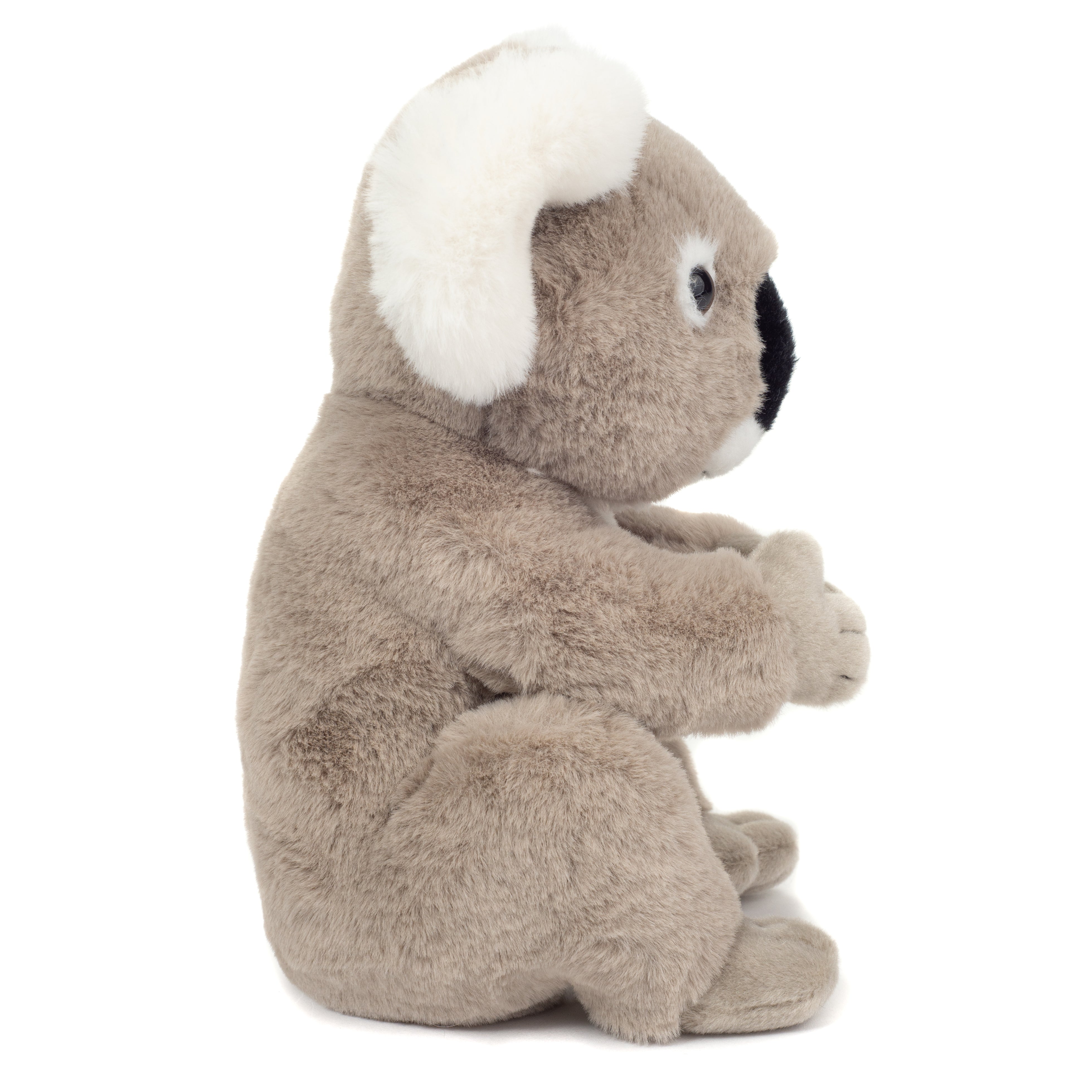 Koala sitzend von Teddy Hermann
