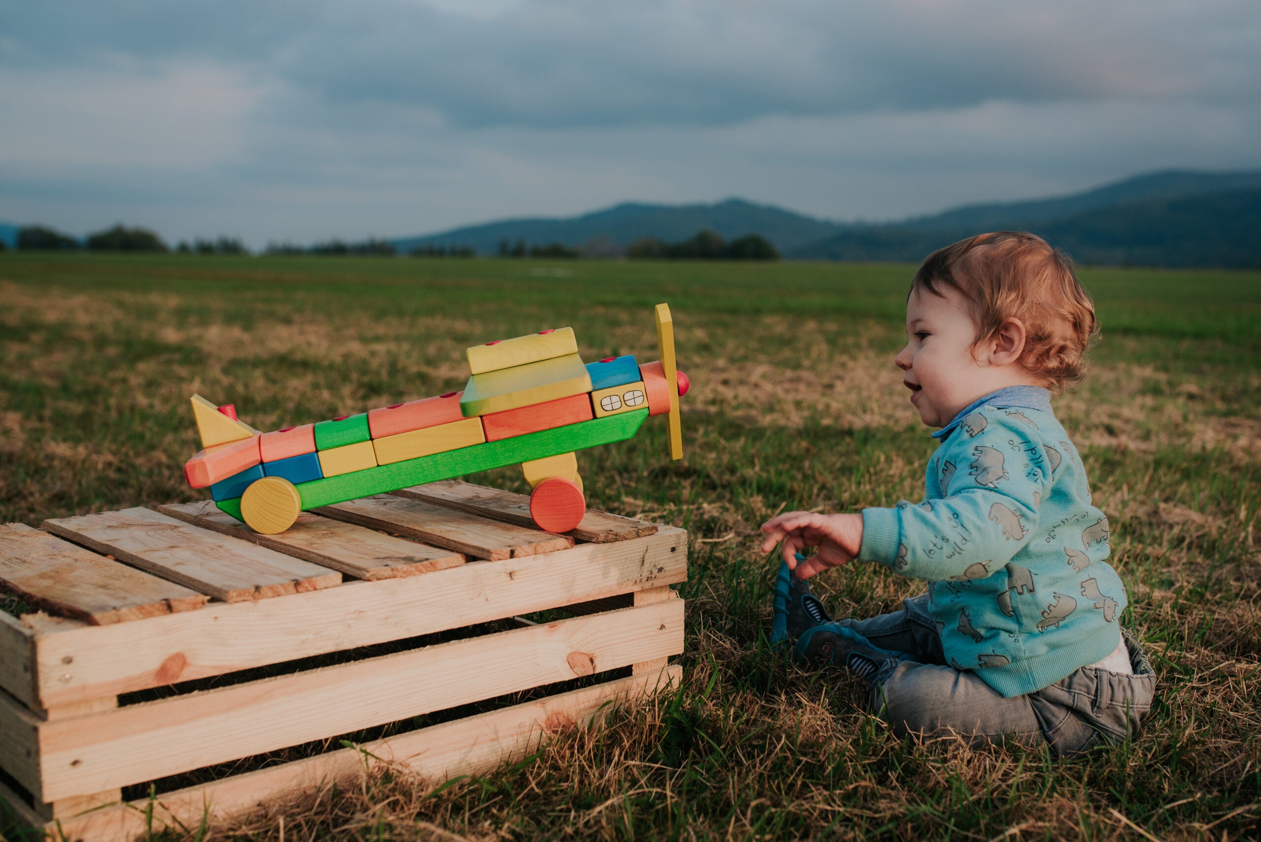 Tarnawa Toys Holz Flugzeug mit Regenbogenblöcken