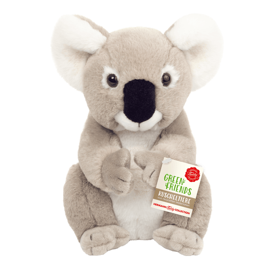 Koala sitzend von Teddy Hermann