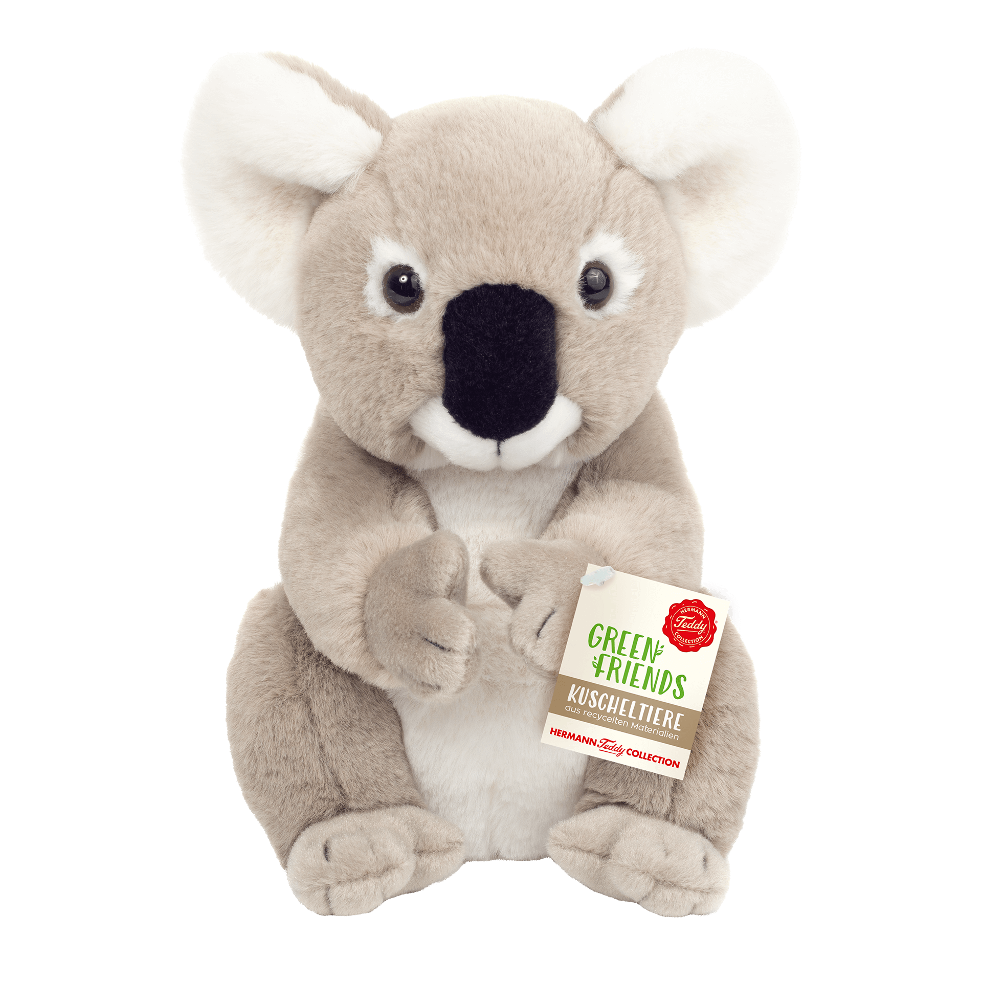 Koala sitzend von Teddy Hermann