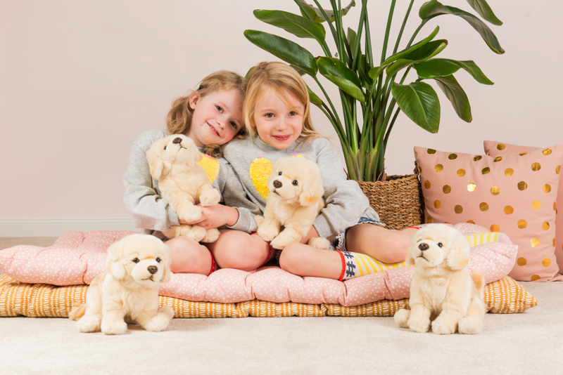 Golden Retriever von Teddy Hermann